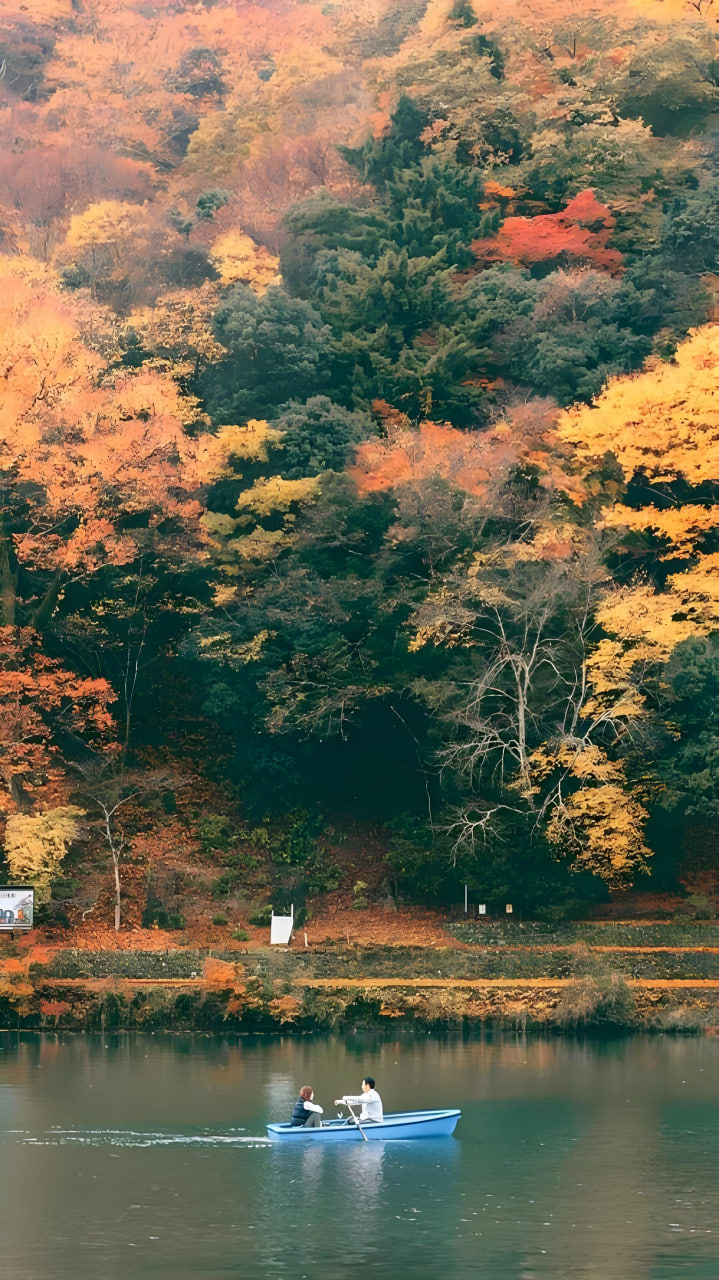 笑傲江湖