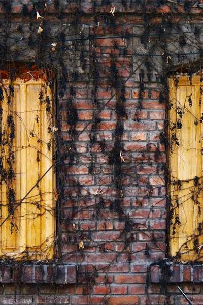 社區(qū)互動功能