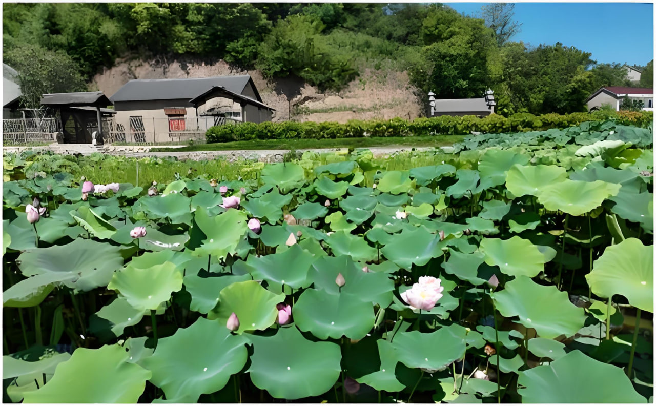 無人區(qū)特別篇