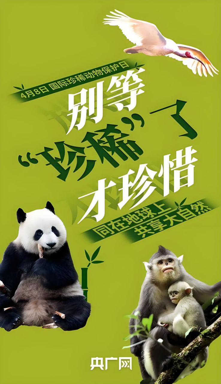 無人區(qū)演員訪談